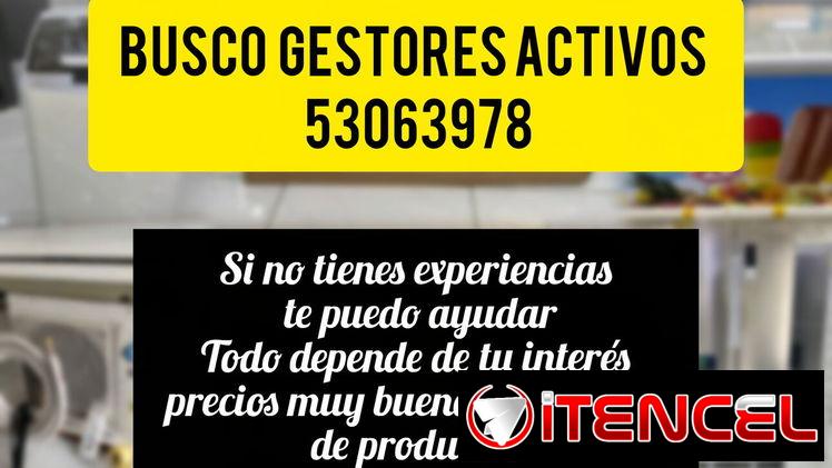 Busco gestor activo