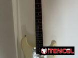 guitarra eléctrica con su funda