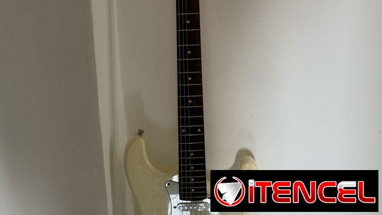 guitarra eléctrica con su funda