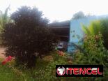 Venta de casa en el campo con bastante tierras