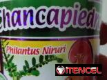 SUPLEMENTOS NUTRICIONALES Y ALIMENTOCIOS Suplementos medicinales y alimentos, libre de excipientes y preservantes 💯x💯