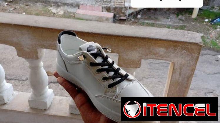Tenis