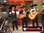 Mariachis a sus servicios