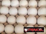VENTA DE HUEVOS HABANA – MAYORISTA 😱✅️