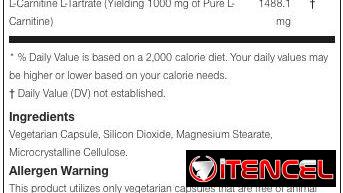 LIPO 6 L-CARNITINE (NUTREX) 120CAP-60SERV 58234161 y 56902981 FITNESSARMY