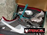 *👟 Zapatos Nike SB 👟*