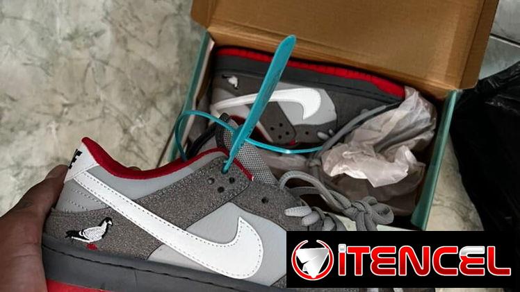 *👟 Zapatos Nike SB 👟*
