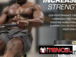 CREATINA MONOHIDRATADA CELLUCOR