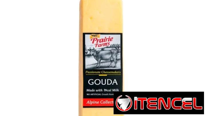 Queso Gouda