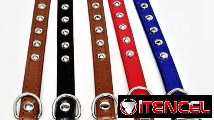 COLLARES +CORREAS + PECHERAS PARA GATOS Y PERROS