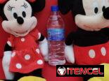 Pareja de Minnie y Mickey Mouse