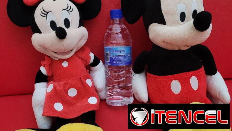 Pareja de Minnie y Mickey Mouse