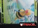 Cartas Pokémon original