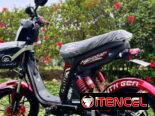 MOTO ELÉCTRICA MISHOZUKI GRILLO