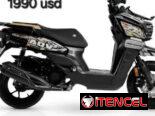 MOTOR ACORAZADA 150 CC