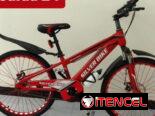 Bicicleta medida 24