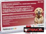 Tienda de Mascotas “Vanipets 🫀🐾”