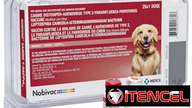 Tienda de Mascotas “Vanipets 🫀🐾”