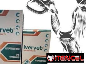 0cae8c246e048d3cbe85ed52d25301db545936536d3d42b61f579a43a1f93d25