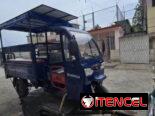 Triciclo VEDCA C800