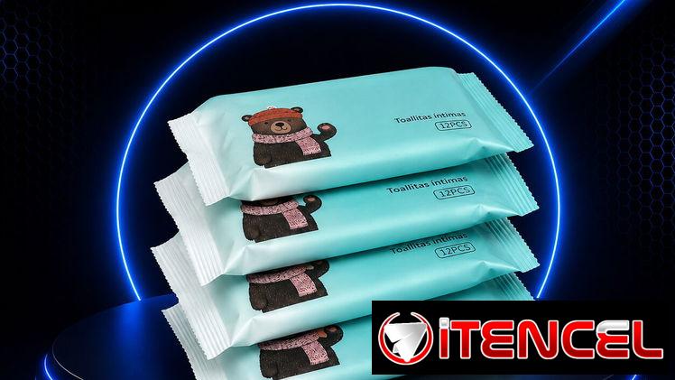 🌸 Toallitas Íntimas (12 unidades) 🌸