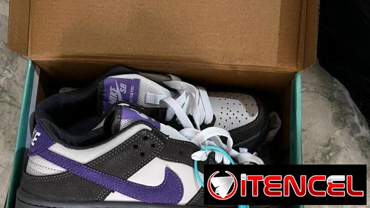 *👟 Zapatos Nike SB 👟*
