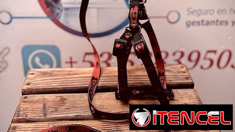Pechera ajustable para perros pequeños y mini