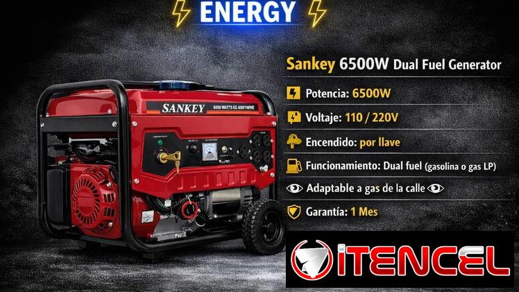 Planta Eléctrica Sankey 6500w