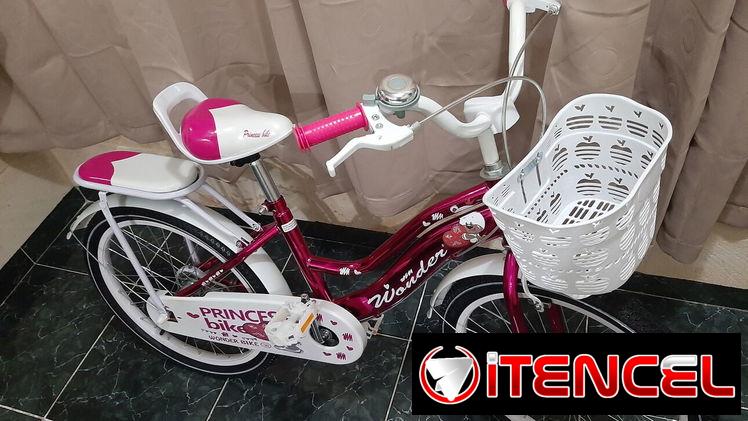Bicicleta 🚲 medida 20 modelo Niagara