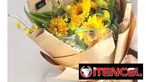 0efd9d5574d3a4785a1aaa91c522bc9d3fffd42a84125e2a41c1273817f26f70