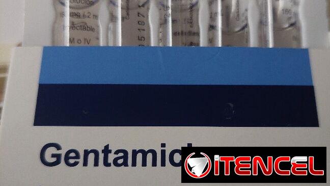 Gentamicina en Inyecciones caja con 5 Ampulas de 160mg, 2 ml