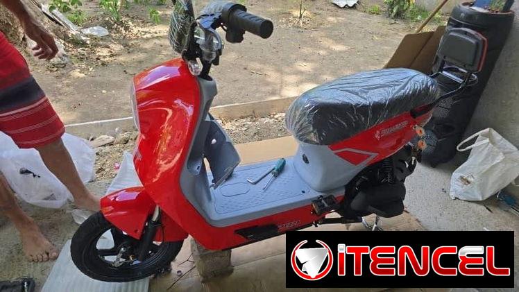 Moto electrica