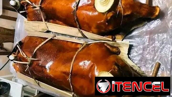 🚨 ¡NO COCINES TÚ! 6 OFERTAS de CERDO ASADO + CONGRÍ GRATIS para tu fiesta en La Habana (Envío a toda la ciudad)