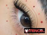 Estudio de Belleza Mels Madus Brows and Lashes (52 /27 y 29) Playa