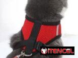 Correas con pecheras !!! Variedad de colores !!! Para Mascotas pequeñas y medianas !!!
