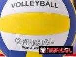 Pelota de voleibol No. 5