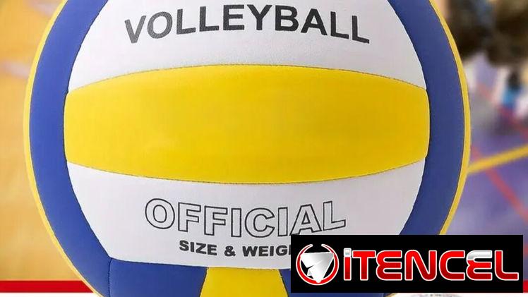 Pelota de voleibol No. 5