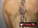 tattoo, tatuaje, tatu, estudio, art, arte