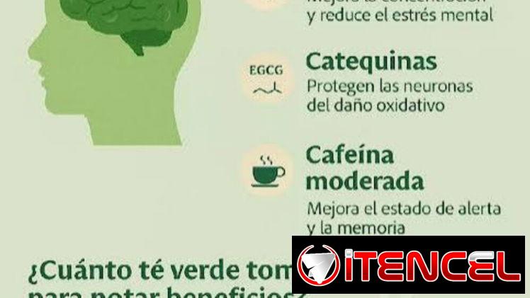 Té Verde 🌿es gratis domicilio en Plaza