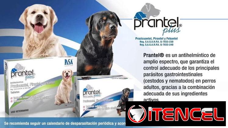 Prantel Plus 10kg y 40kg y más