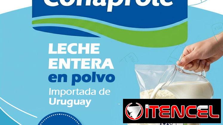Leche entera en polvo