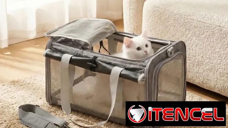 Transportín para Mascotas Pequeñas Aprobado para Aerolíneas