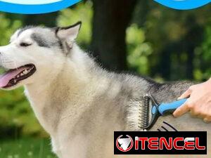 13c1902fb8dbbb2782dabbdfc1c0d5d5c549f078b66d003b78372bcb502329c6