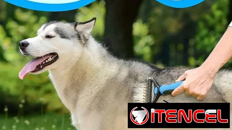 Peine Doble Cara o Deslanador para Mascotas
