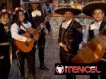 🎺🔥 ¡MARIACHIS RAYOS DE ORO! 🔥🎺 🎶
