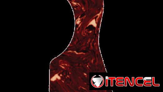 Golpeador D’Andrea Modelo Large – Acabado Carey (Tortoise)