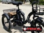 Bici Eskute de tres ruedas