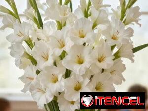 14af158eddf1c8e580a25e1b6fe96f65438d2e0ad466bae61699e0749daeb085