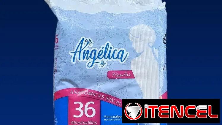 ÍNTIMAS ANGÉLICA DE 36 UNIDADES