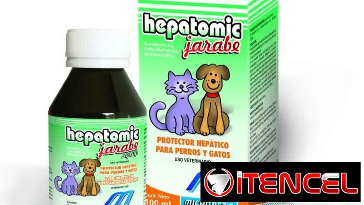 HEPATOMIC JARABE 100 ML